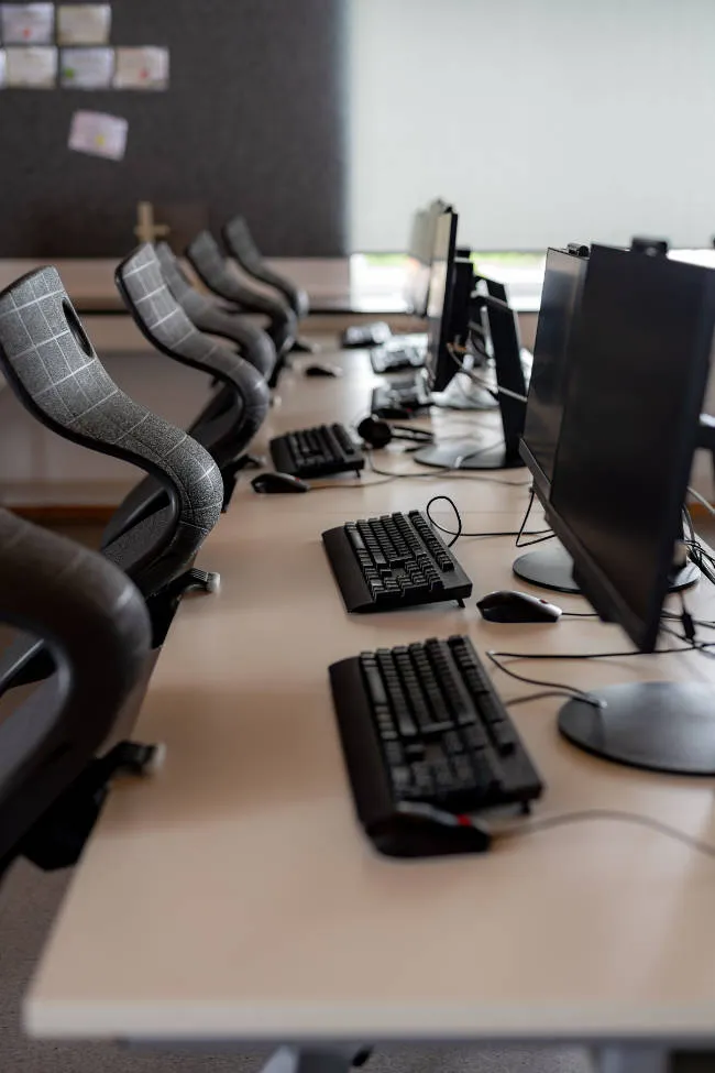 Éducation et formation